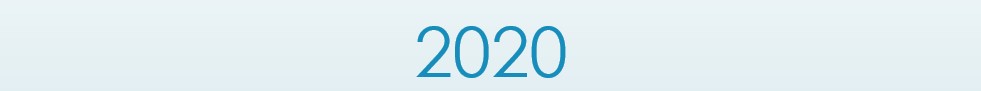 CP 2020